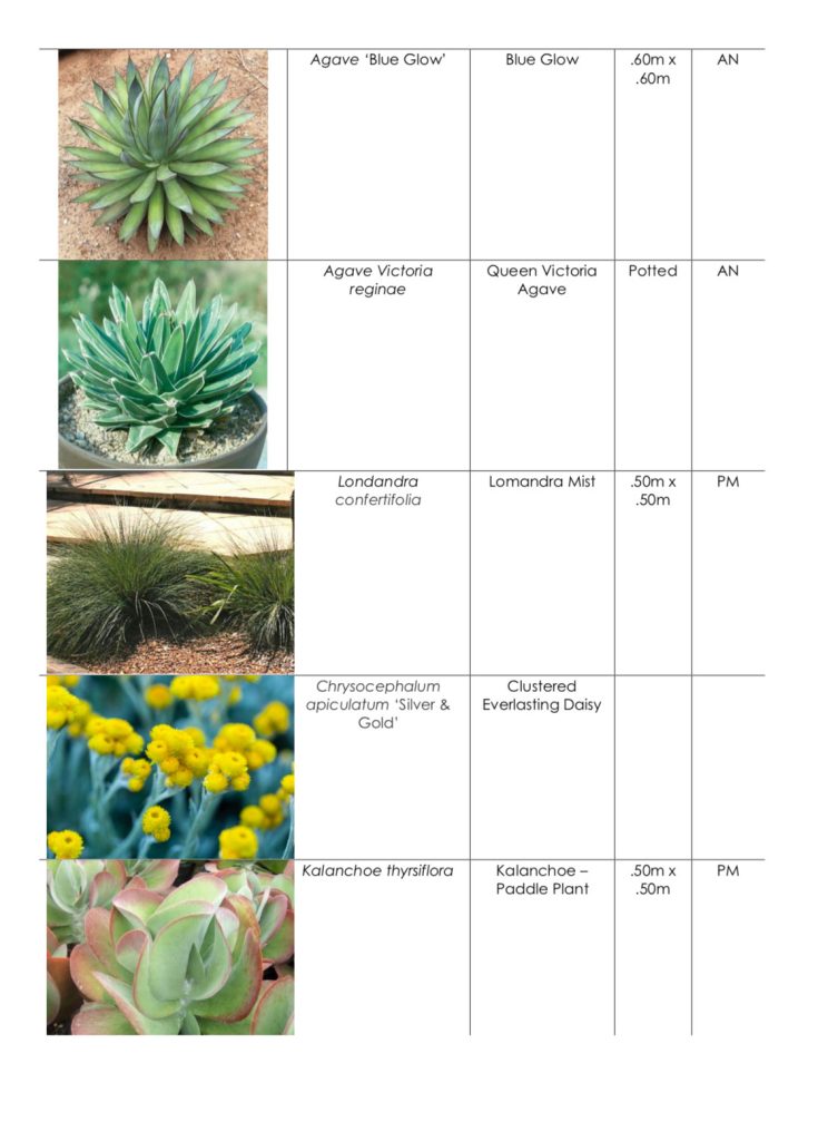 Plant Schedule Tugun - Serendipity Garden Designs